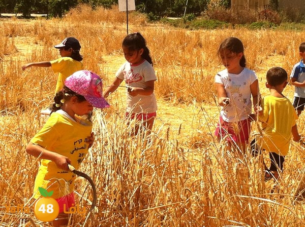 jamahery mokhayammm (19).jpg